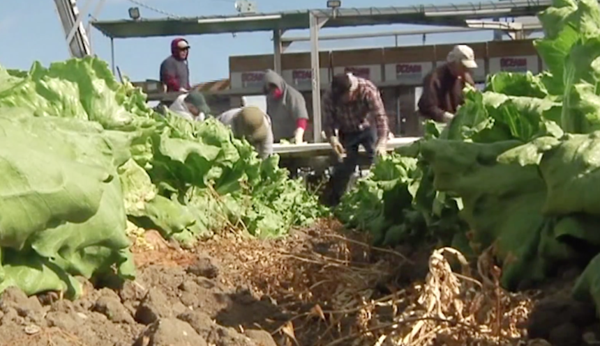 Santa Barbara County joins program to house agricultural workers exposed to COVID-19